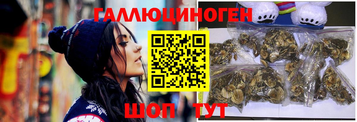 Галлюциногенные грибы Psilocybe  Вход с VPN  Миасс  Галлюциногенные грибы Psilocybe 